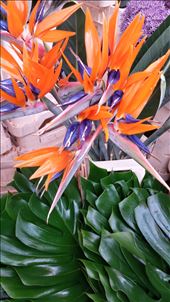 by cfitchey, Views[386]