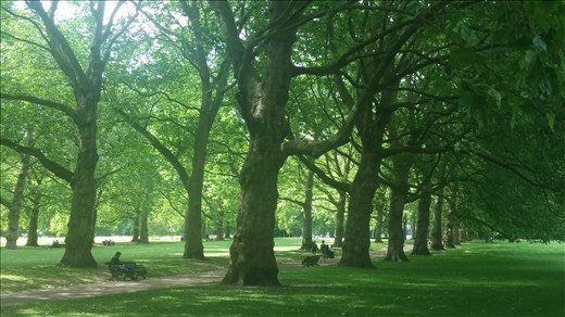 Green Park