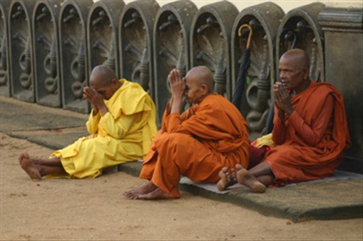 Venerating bhikkunis 