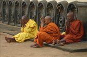 Venerating bhikkunis : by chagacliqs, Views[325]