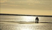 One day, against a sunset, I will kiss you till my last breath!: by champ, Views[281]