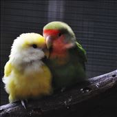 Is there a more beautiful feeling in this world than being loved by someone!: by champ, Views[264]