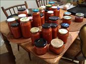 'keep the jars': by champagnehippy, Views[249]