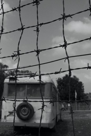 It started from an holocaust. From death. And it brought life. 