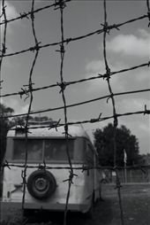 It started from an holocaust. From death. And it brought life. : by change, Views[217]