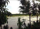 by changstein, Views[605]