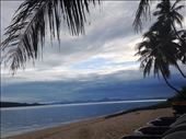 by changstein, Views[596]