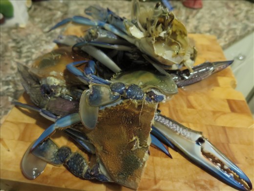 Fresh Australian blue swimmer crabs - the hero! 