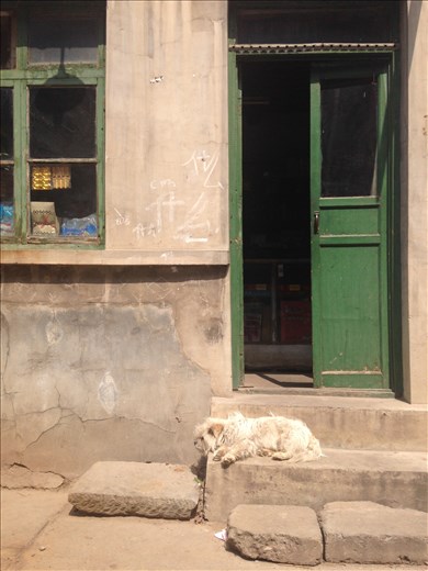 one store in a small alley of my hometown 