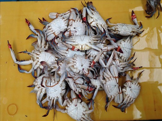 That was in a seafood market in my hometown