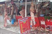 The Butcher with Camel hanged in his meat hanger, with a big list of prices next to it, a way of buying meat, traditional but effective.: by charif, Views[329]