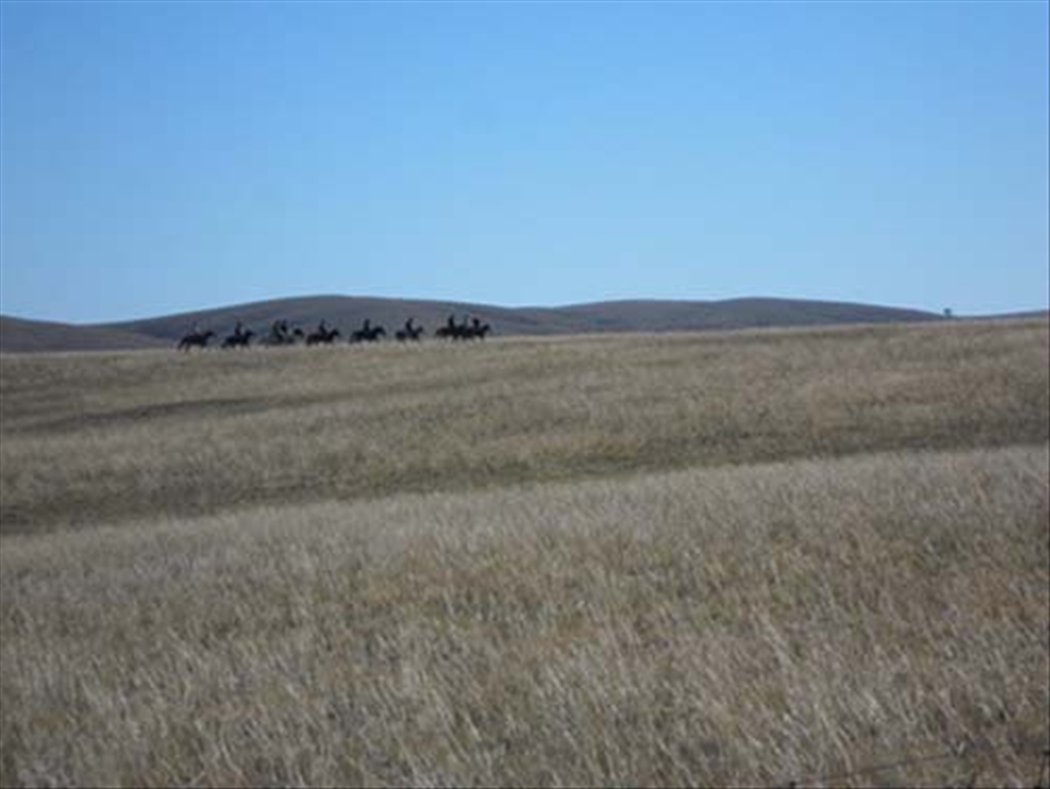 Steppes of Wonder -Day 1: Horse riding on the Xilamuren Steppes of Inner Mongolia, China during the Chinese Mid-Autumn Festival in 2012 on a sightseeing tour of the mystical land. Some of us opted for the cheaper, quite interesting hay 