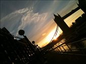 by charline_thomasson, Views[609]