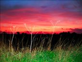 This image was taken at the coast of Selsey, south of where I live. I was with my family when I shot this photo, therefore I want it to convey happy emotions as it was a happy memory, I believe the bold colours within this image reflect this.: by charlotte93, Views[230]