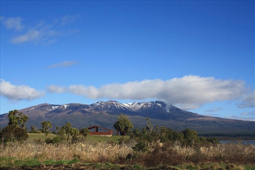 Mount Tongariro letting off some steam