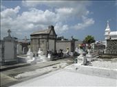 St Patricks Cemetry : by charlottevt, Views[258]