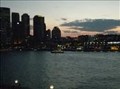 Sydney CBD  at twilight as viewed from Opera House: by charming, Views[197]