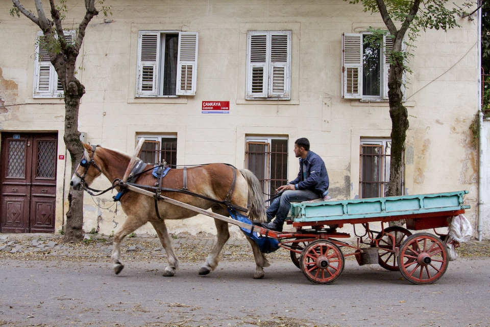 In Prince's Island sound of horse hooves louder than engine
