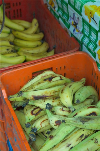 Banana companies employ most locals. They are subject to near slave wage.