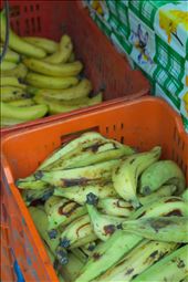 Banana companies employ most locals. They are subject to near slave wage.: by chasethehorizon, Views[350]