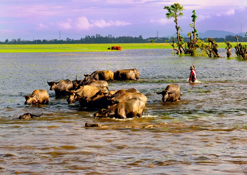 Go home in floodplain