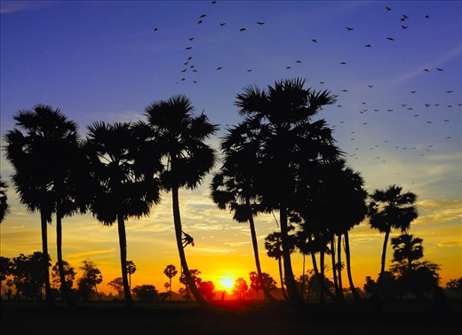 Sunset in my homeland