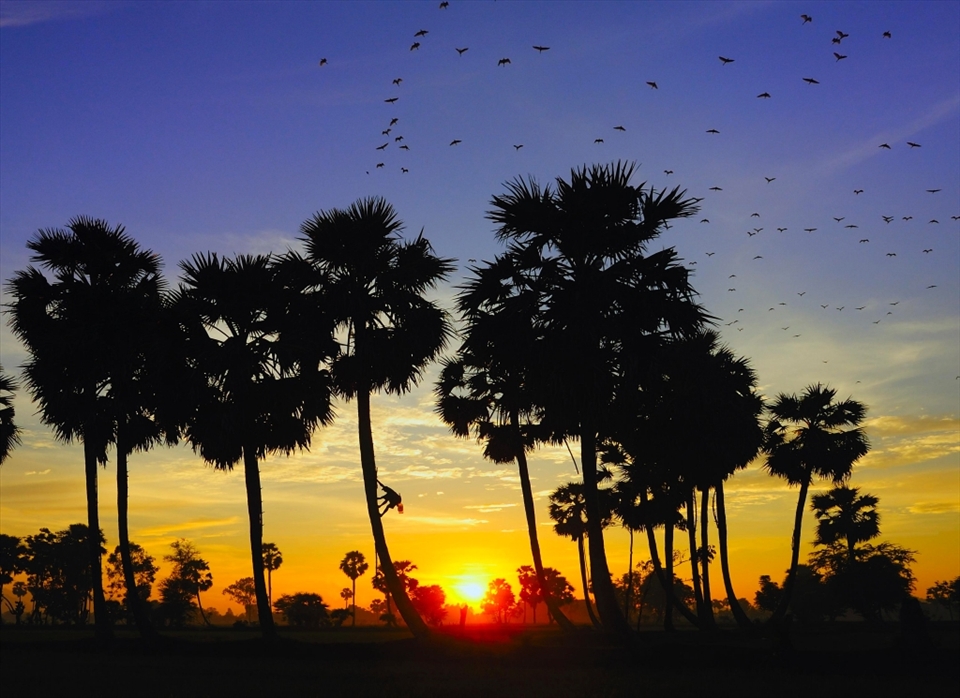 Sunset in my homeland