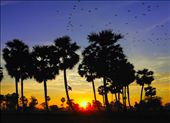 Sunset in my homeland: by chaudoc, Views[595]