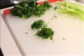 chiffonade of fresh coriander: by checkoutrach, Views[275]