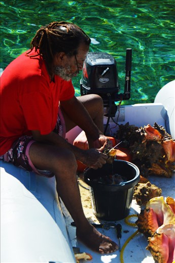 Tonic fishing for conch