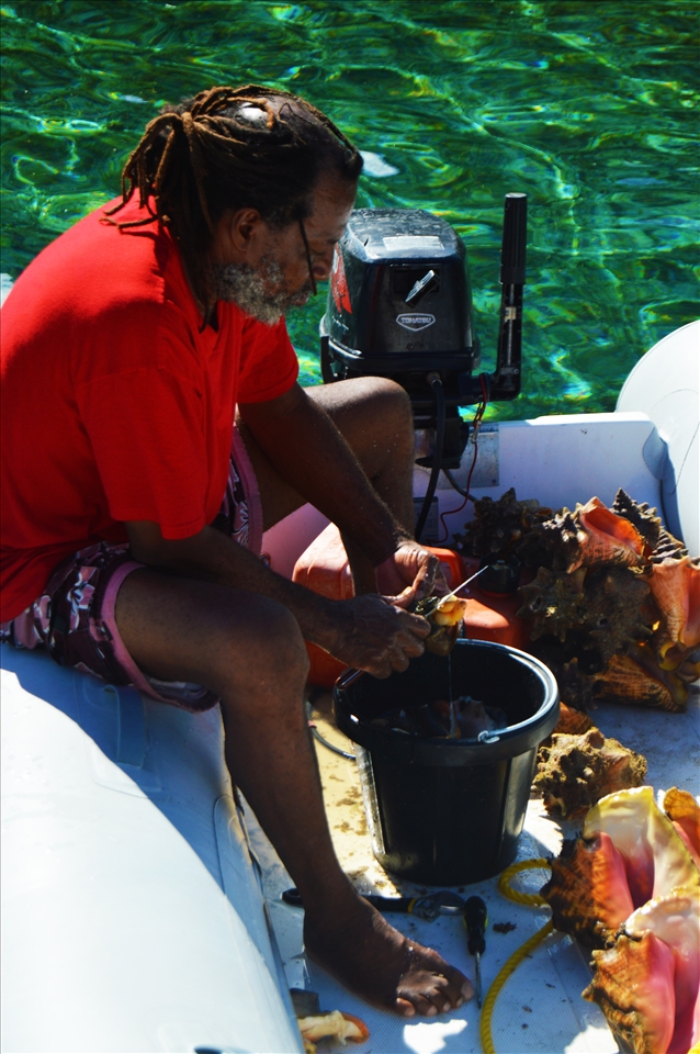 Tonic fishing for conch