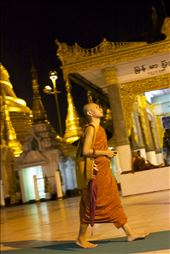 A Buddhist monk in Yangon stares up at Shwedagon Pagoda as he makes his way at sunset to the top.  The Pagoda is treasured by Burmese Buddhists as it is said to contain relics of all four enlightened Buddhas.: by chello, Views[392]