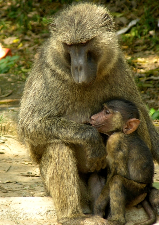The road also led me to some beautiful sights of nature ... we are all cared for whether we realise it or not, someone is always looking out for us. 
