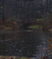 Awaken Reality: by cherryberry, Views[213]