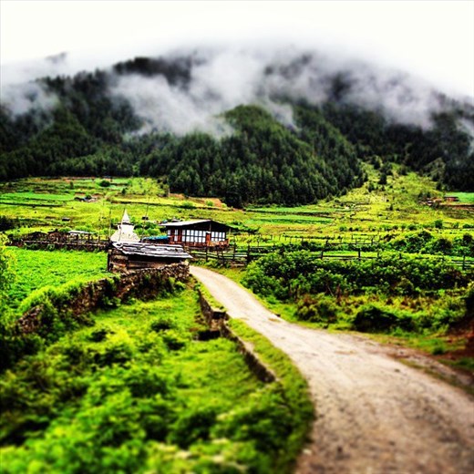 Way to Punkha valley,Bhutan Village~