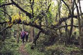 Gasa hike: by chhoden, Views[614]