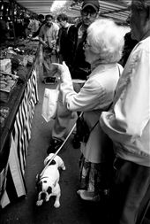 Chaos!: by chiarasantini, Views[175]