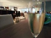 ANA Lounge at JFK: by chicagoguy, Views[923]