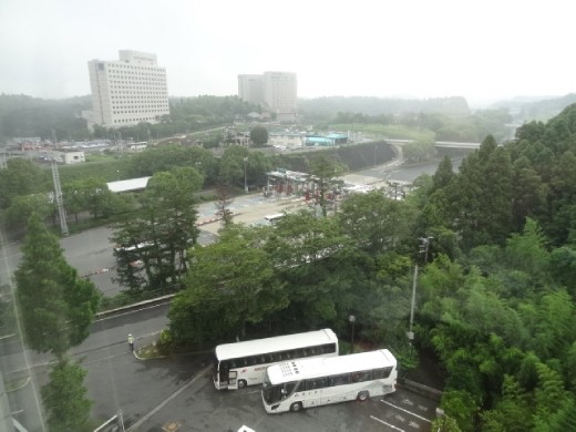 View from my $39 room at Narita