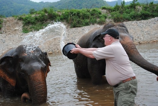 Got to have clean elephants for the photos!