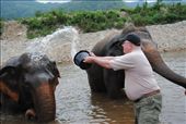 Got to have clean elephants for the photos!: by chicagoguy, Views[354]