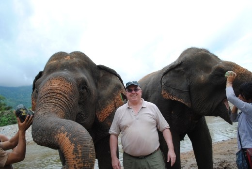 King of the Elephants