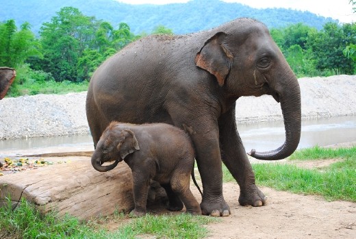 Everybody has got to scratch sometime