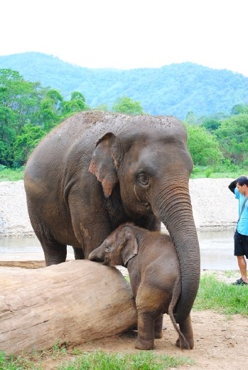 Mama lending a helping hand