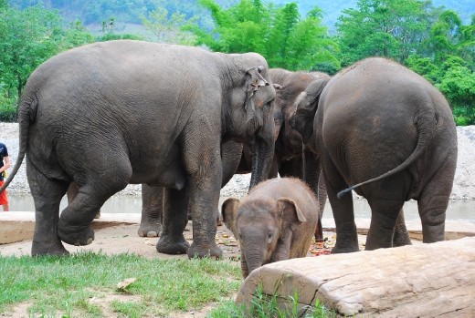 Baby gets all of the attention