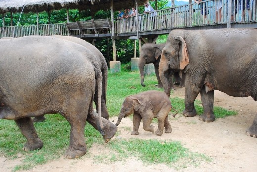 Off to the mud baths