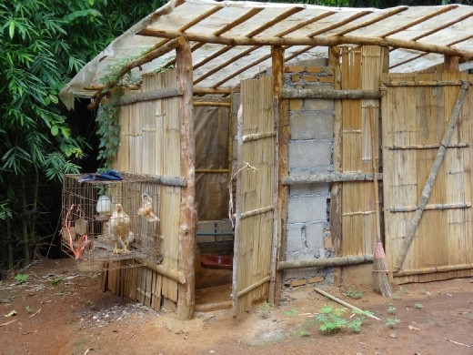 Of course you want your chickens guarding the outhouse!
