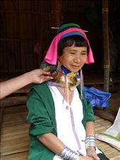 Brass rings weigh up to 30 lbs: by chicagoguy, Views[267]