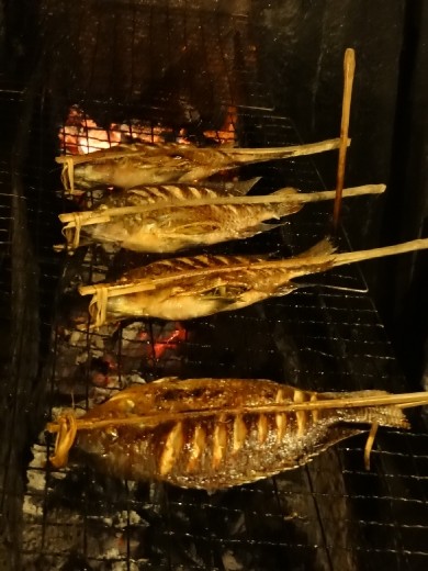 Grilled fish at night market