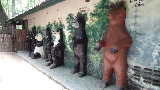 All types of bears